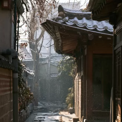 소설(小雪) 절기 풍경